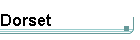 Dorset
