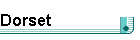 Dorset